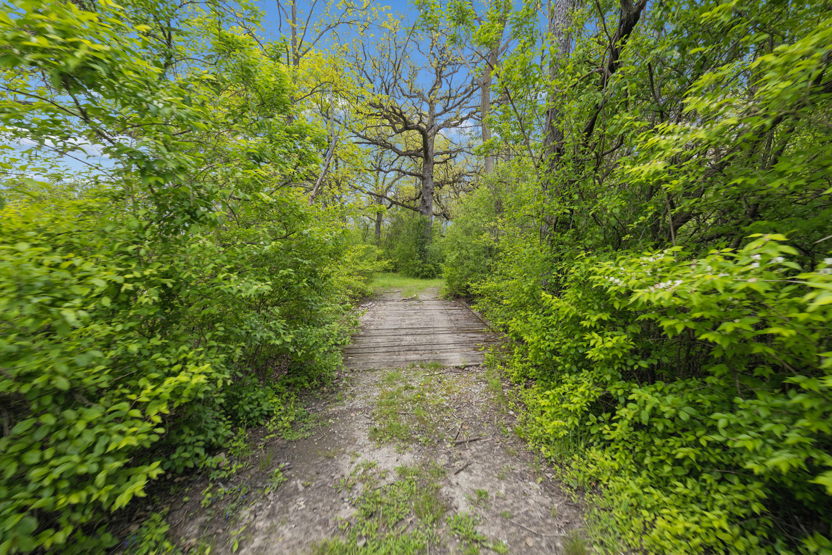 931 E Steger Road Property Photo 8