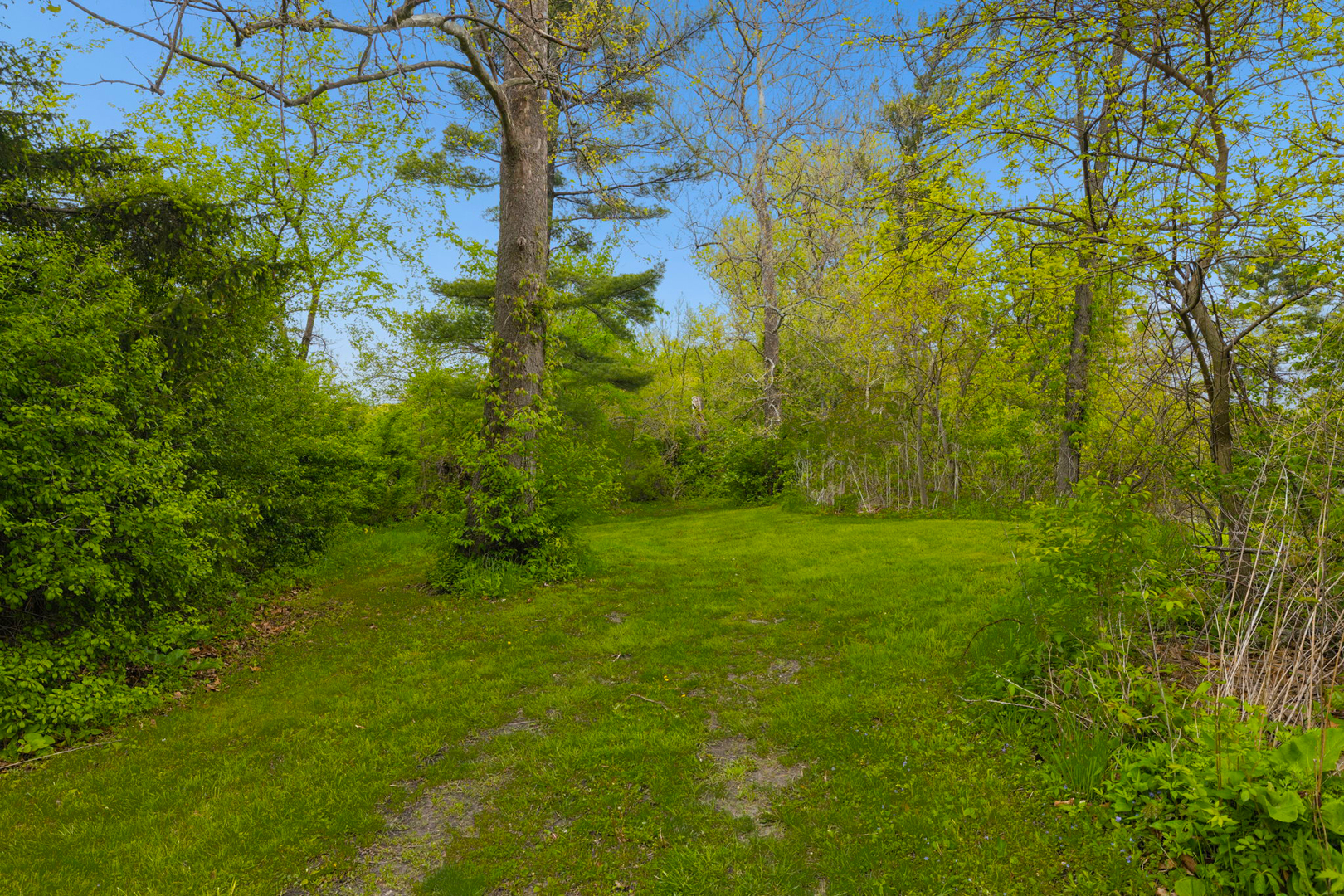 931 E Steger Road Property Photo 12
