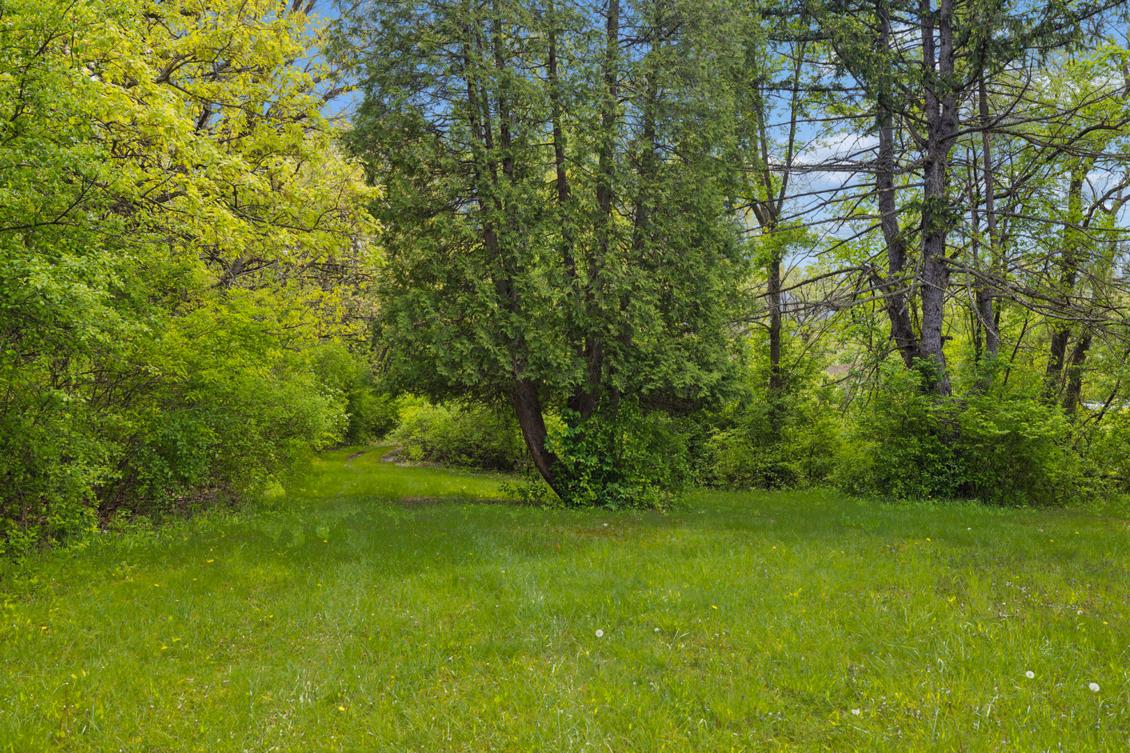 931 E Steger Road Property Photo 48