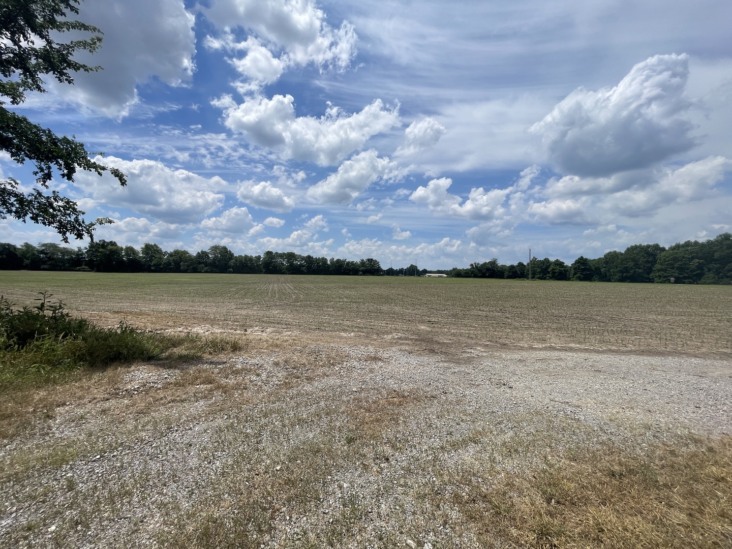 Tbd Old Bainbridge Road Property Photo 1