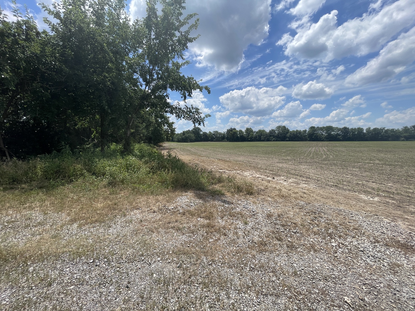 Tbd Old Bainbridge Road Property Photo 2