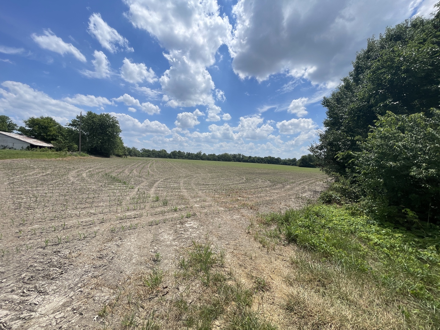 Tbd Old Bainbridge Road Property Photo 3