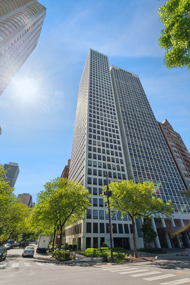 1100 N Lake Shore Drive 15b Property Photo 1