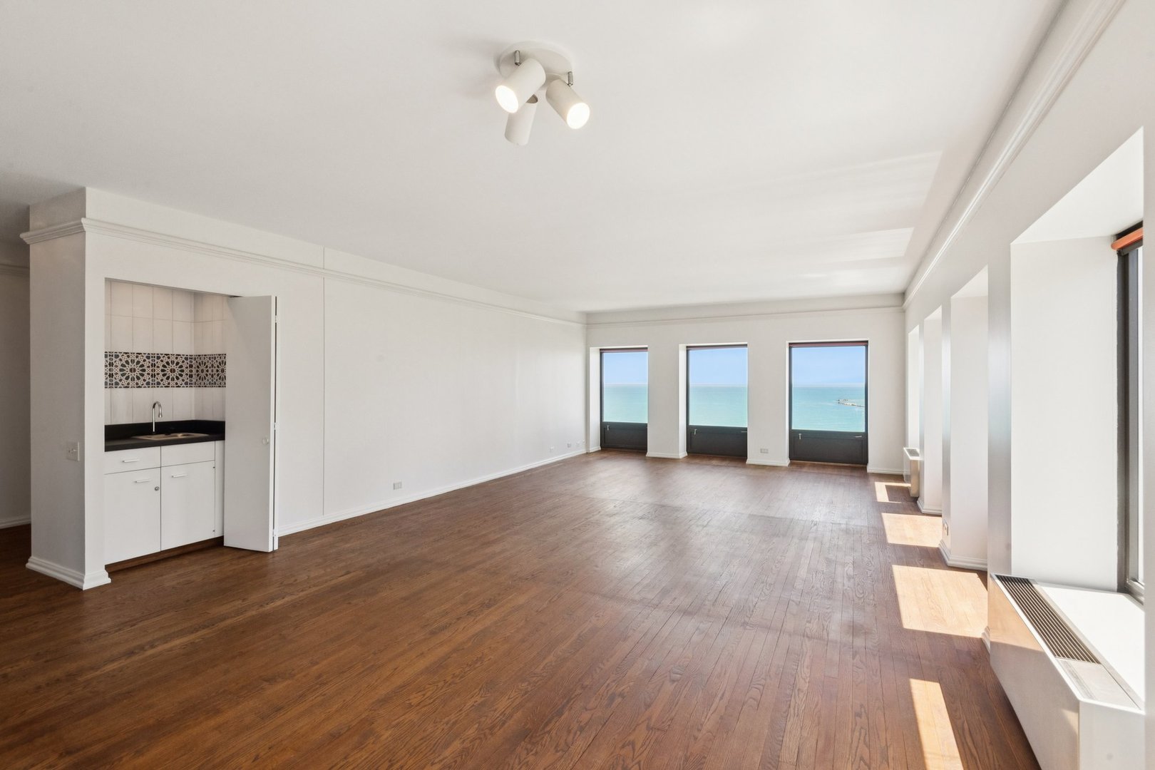 1100 N Lake Shore Drive 15b Property Photo 4
