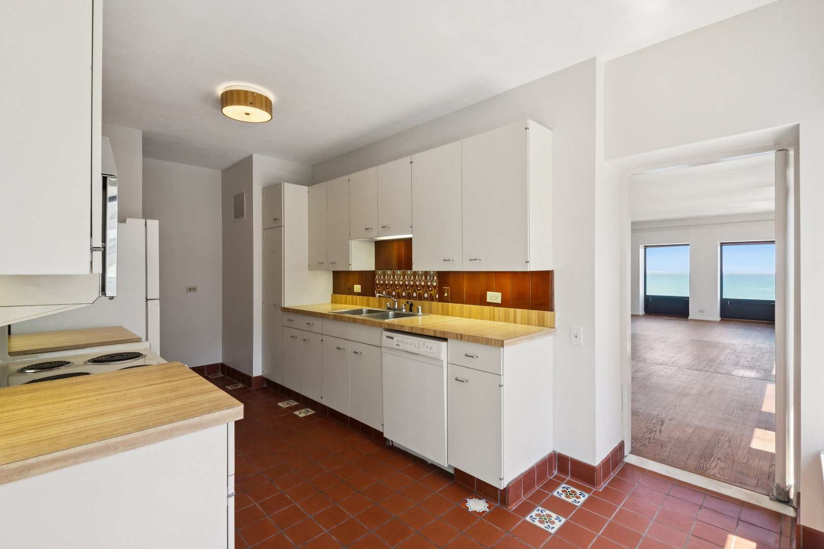 1100 N Lake Shore Drive 15b Property Photo 9