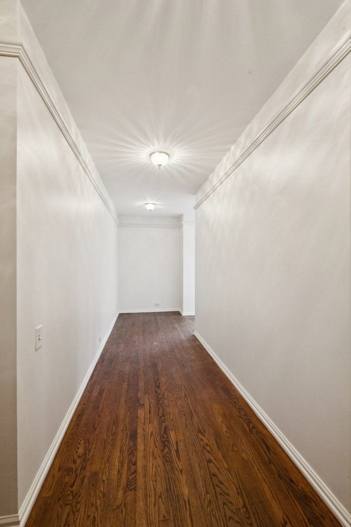 1100 N Lake Shore Drive 15b Property Photo 12