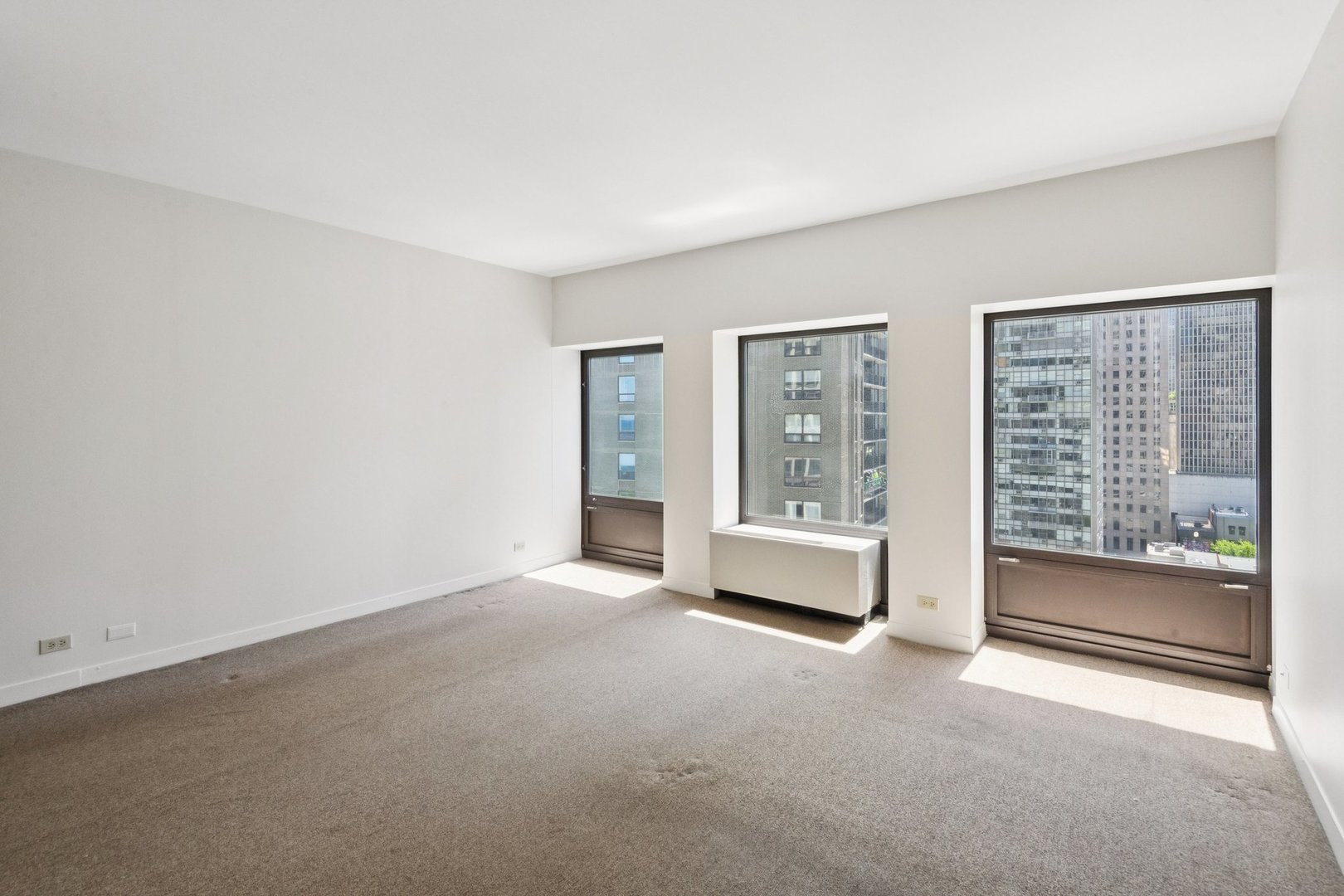 1100 N Lake Shore Drive 15b Property Photo 15