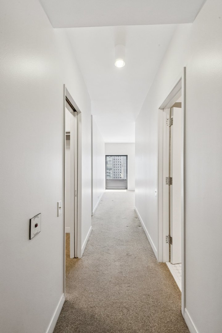 1100 N Lake Shore Drive 15b Property Photo 20