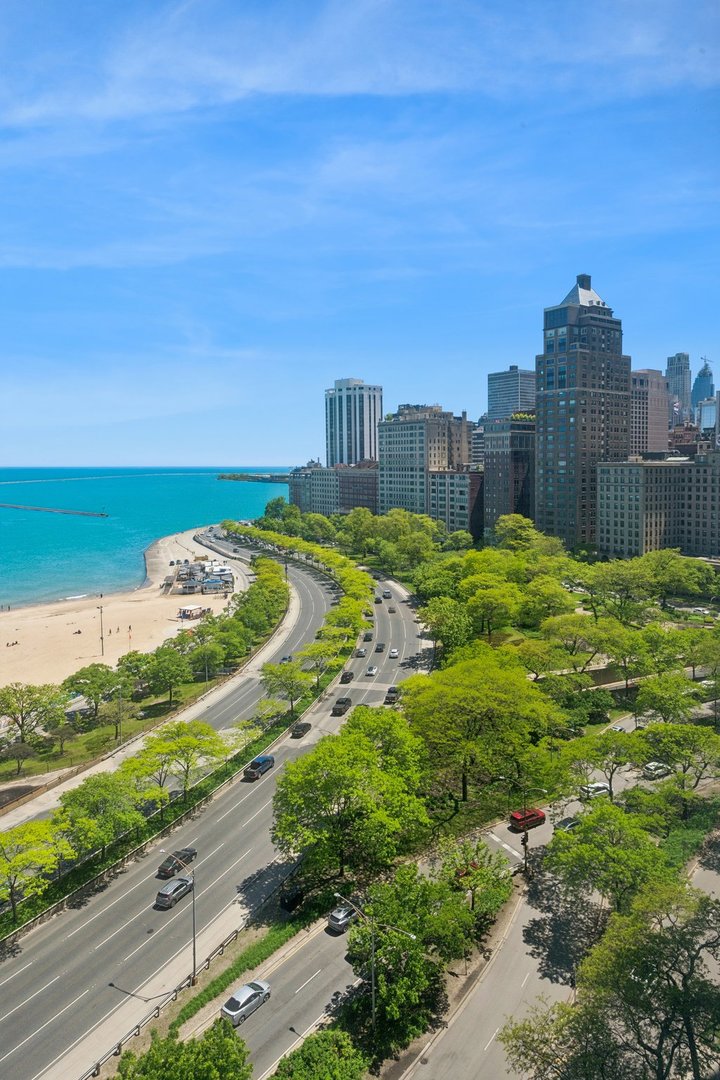 1100 N Lake Shore Drive 15b Property Photo 26