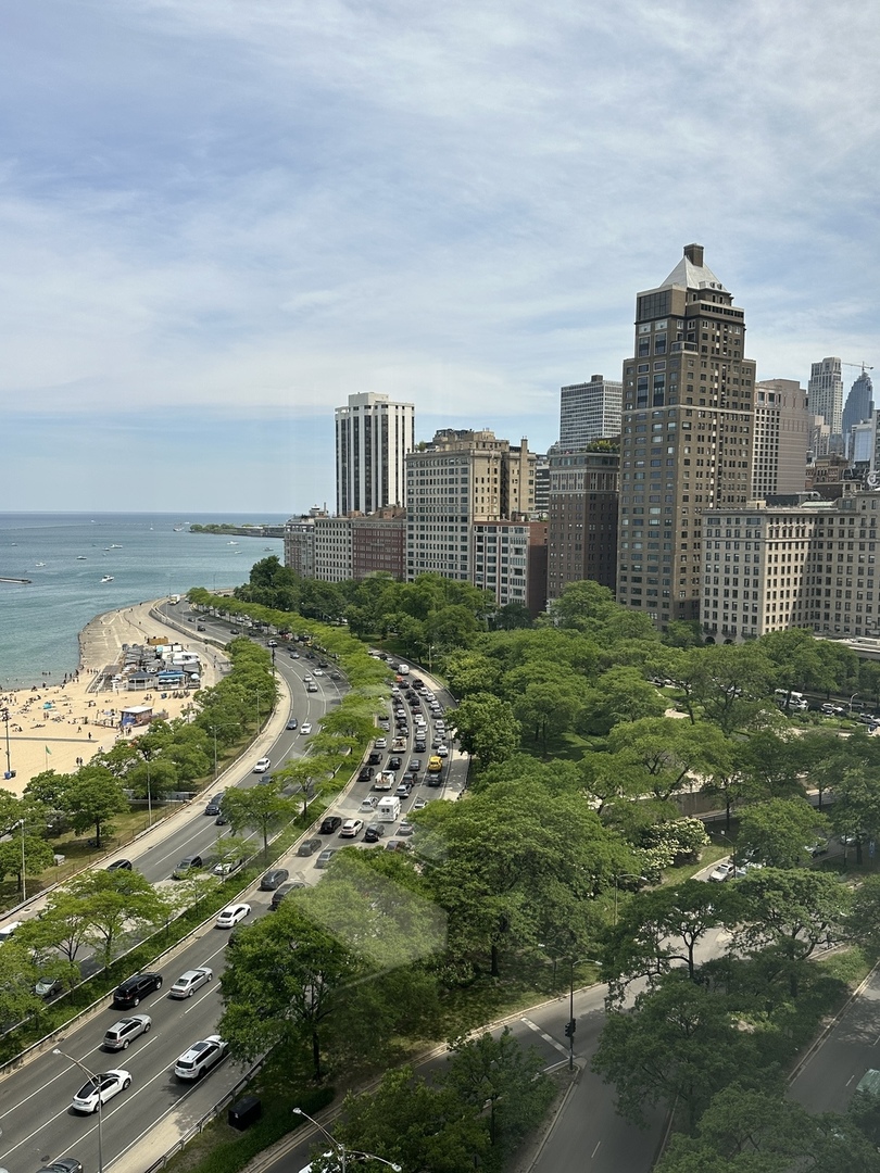 1100 N Lake Shore Drive 15b Property Photo 29