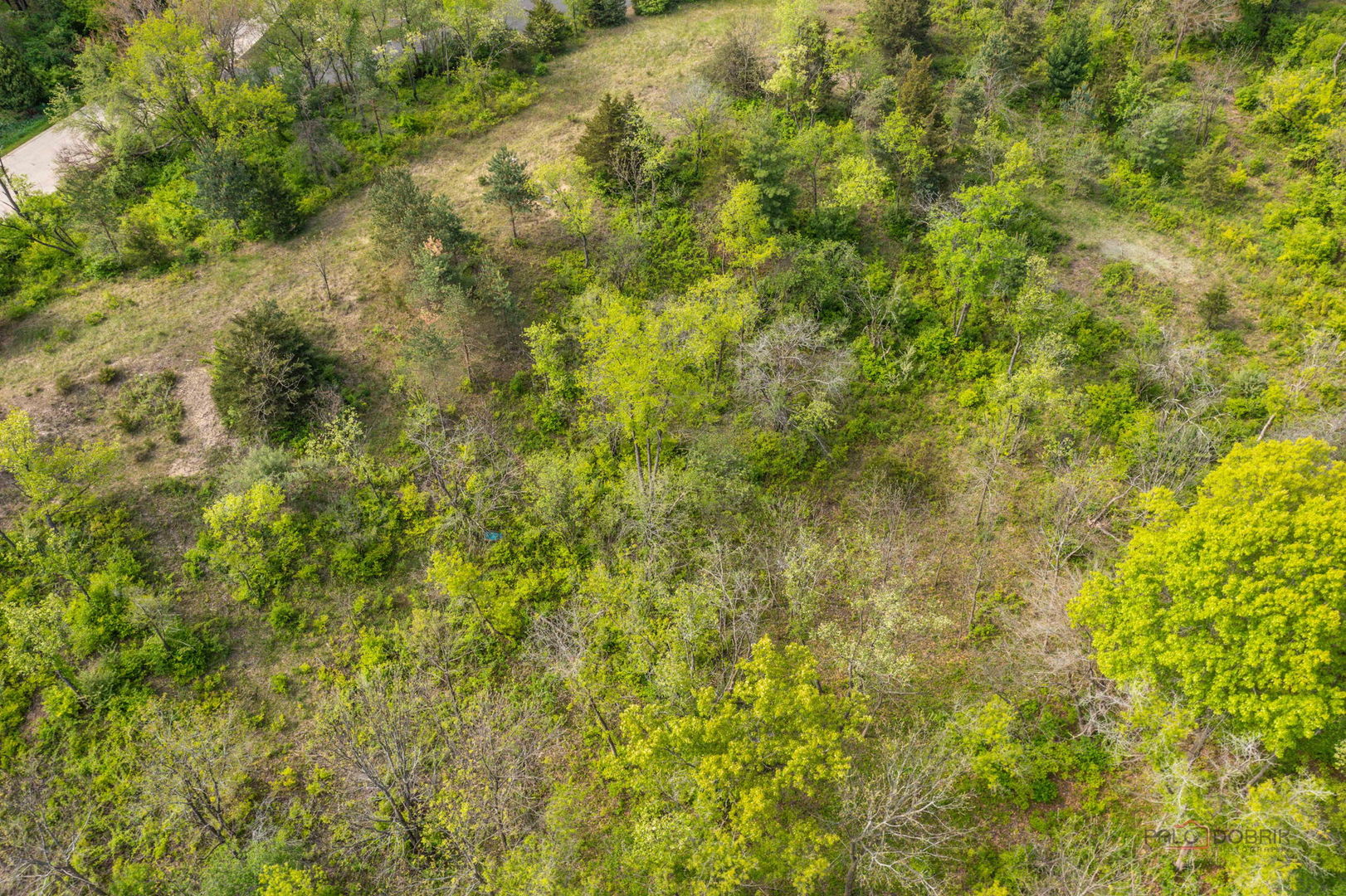 3319 Tanager Trail Property Photo 17