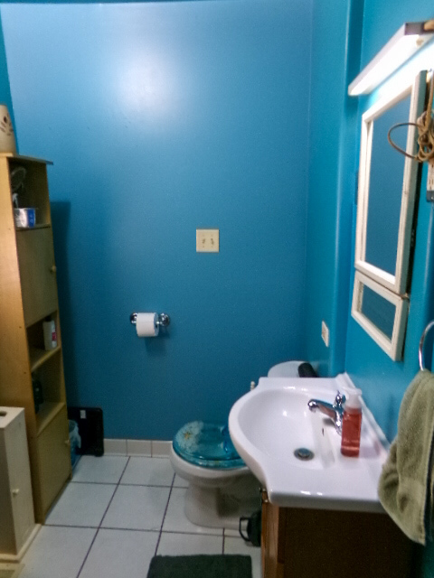 3325 Halsted Street Property Photo 21