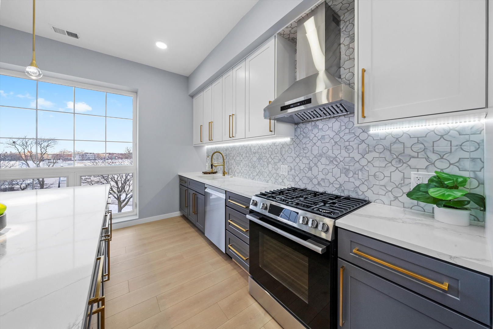 5830 N Lincoln Avenue 2s Property Photo 4