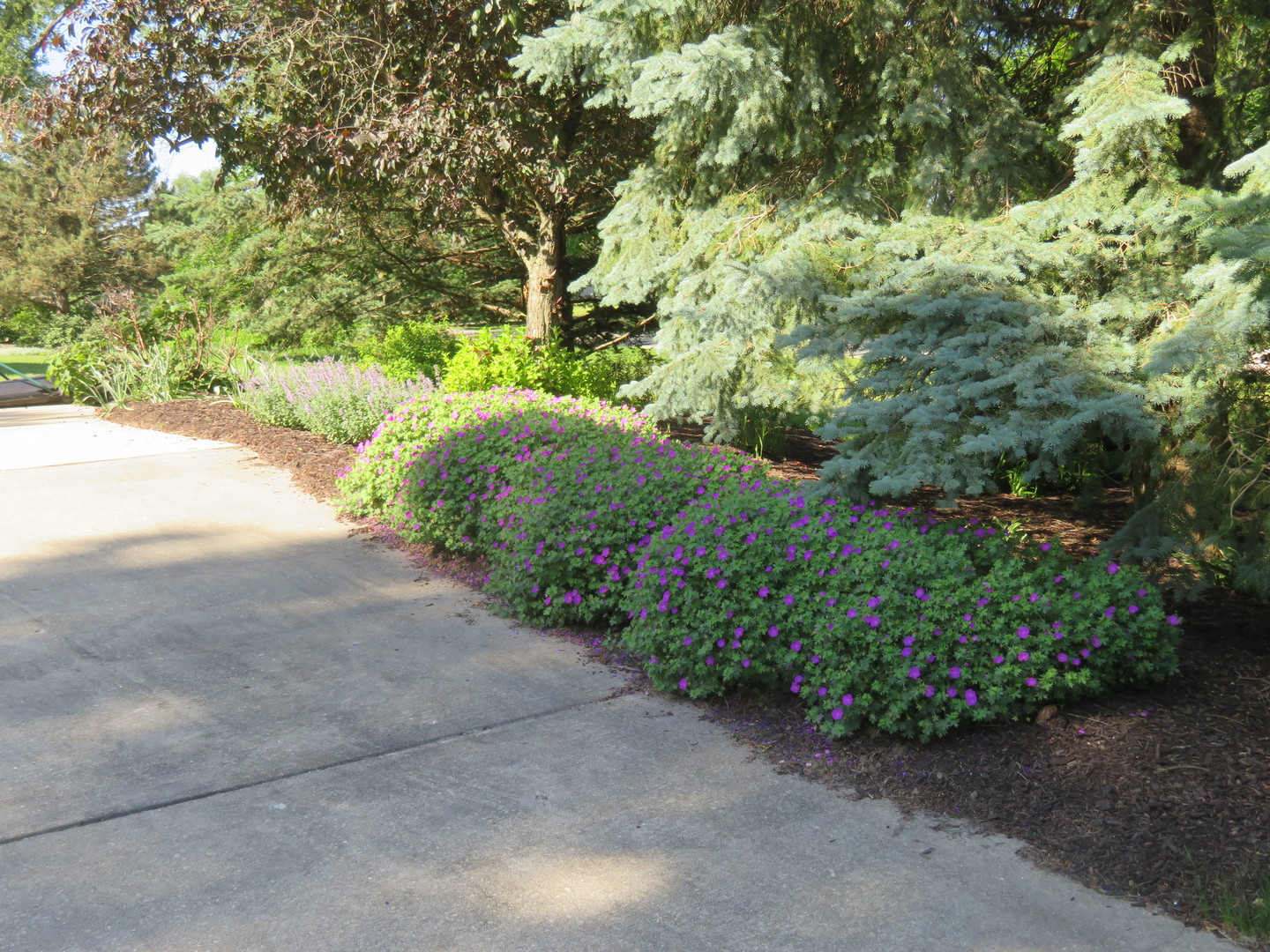 295 W Grandin Road Property Photo 39