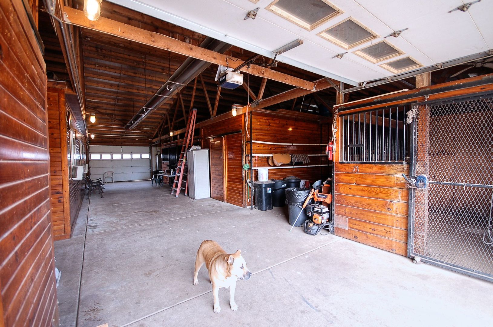 3645 Pine Bluff Road Property Photo 4
