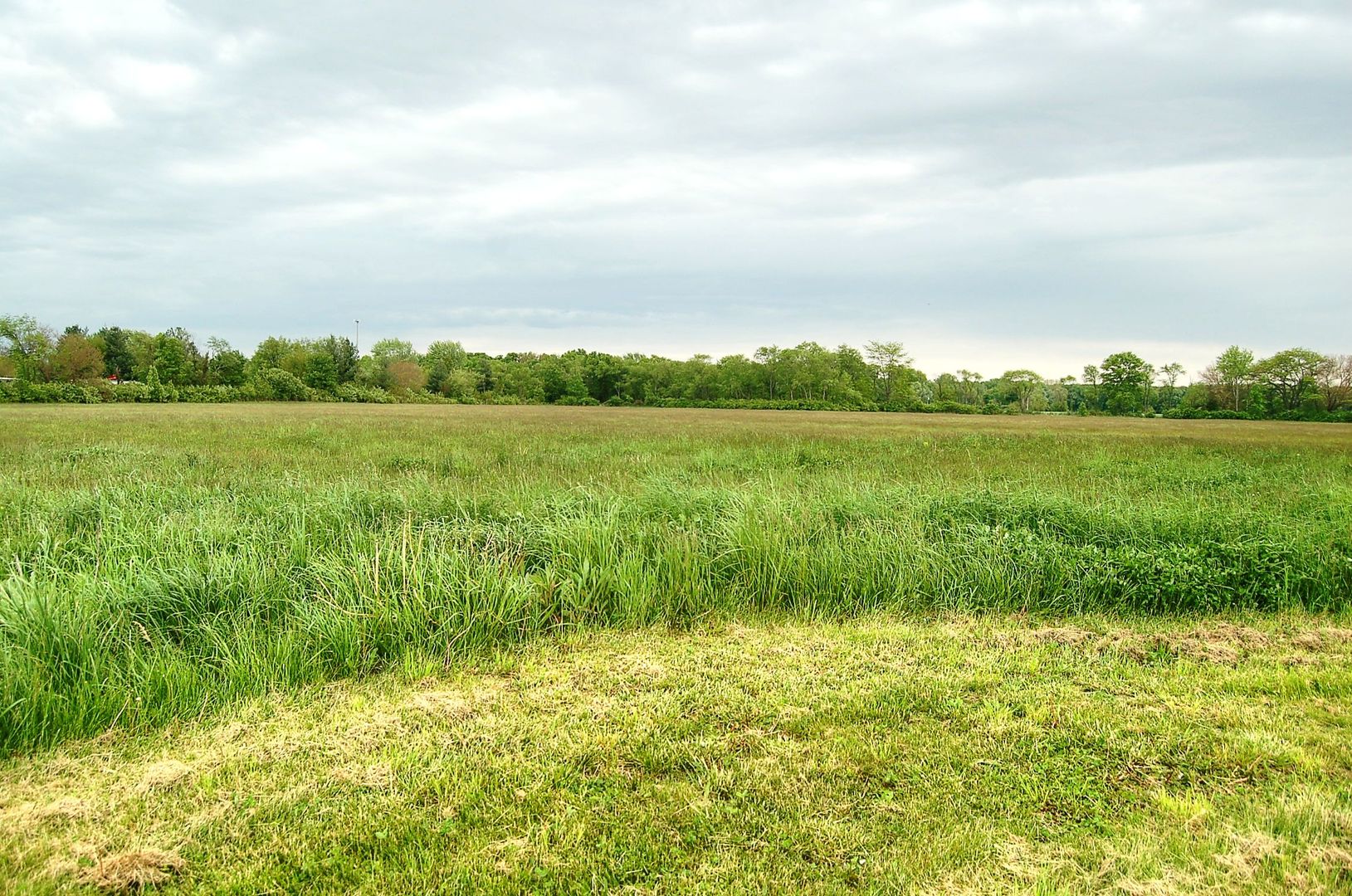 3645 Pine Bluff Road Property Photo 23