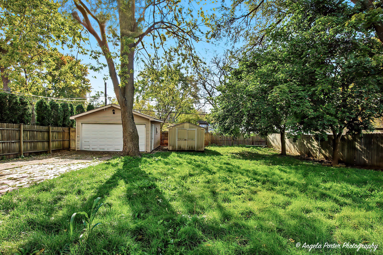 12656390 Property Photo 4