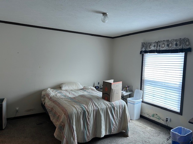 22439 S Remington Drive Property Photo 8