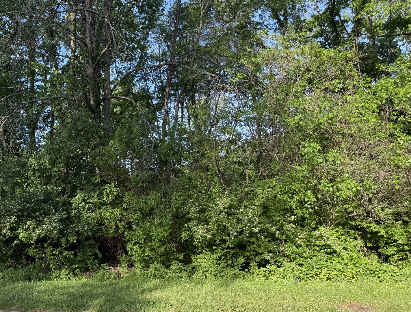 503/505 Mississippi Drive Property Photo 2