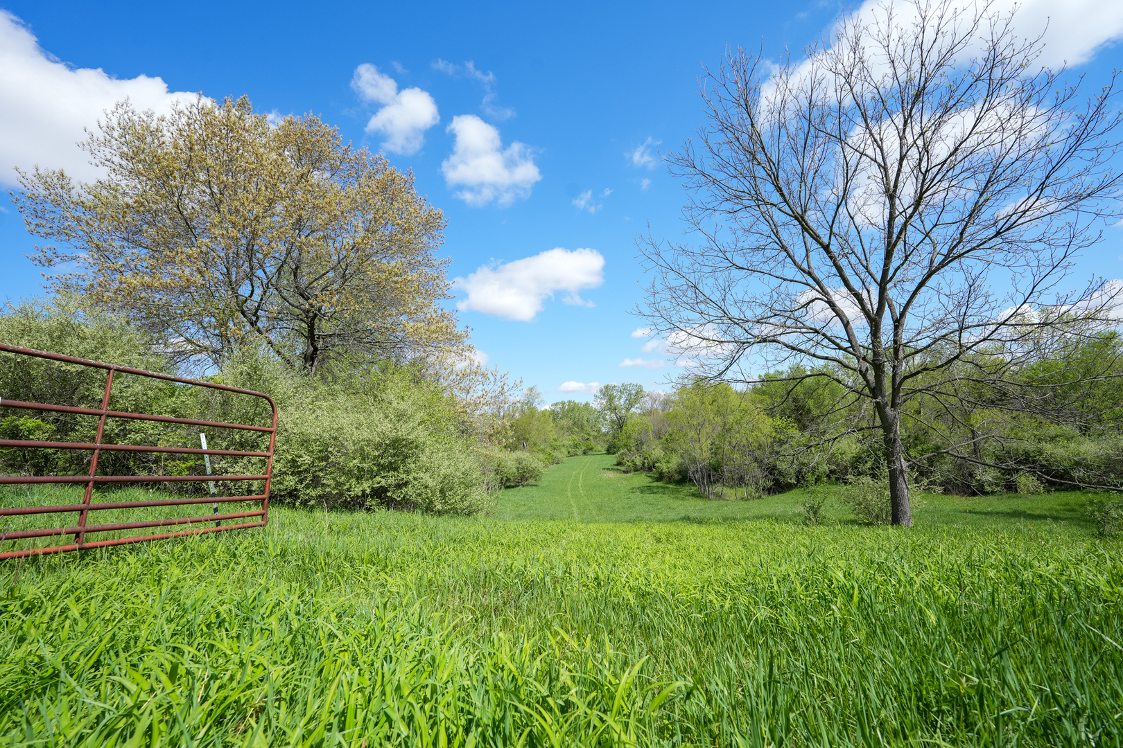 2931 1300 North Avenue Property Photo 14