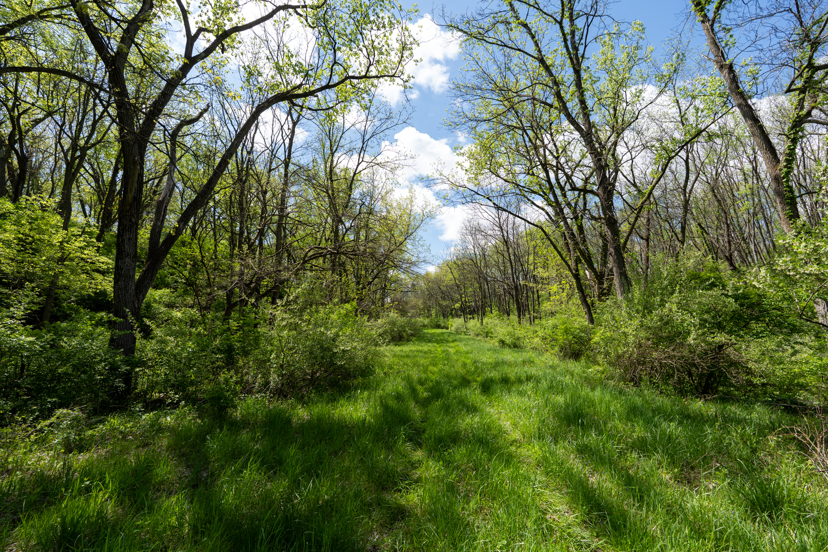 2931 1300 North Avenue Property Photo 16