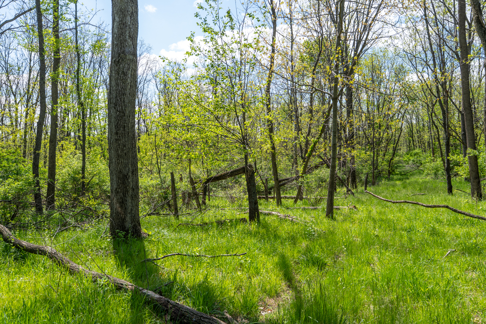 2931 1300 North Avenue Property Photo 18