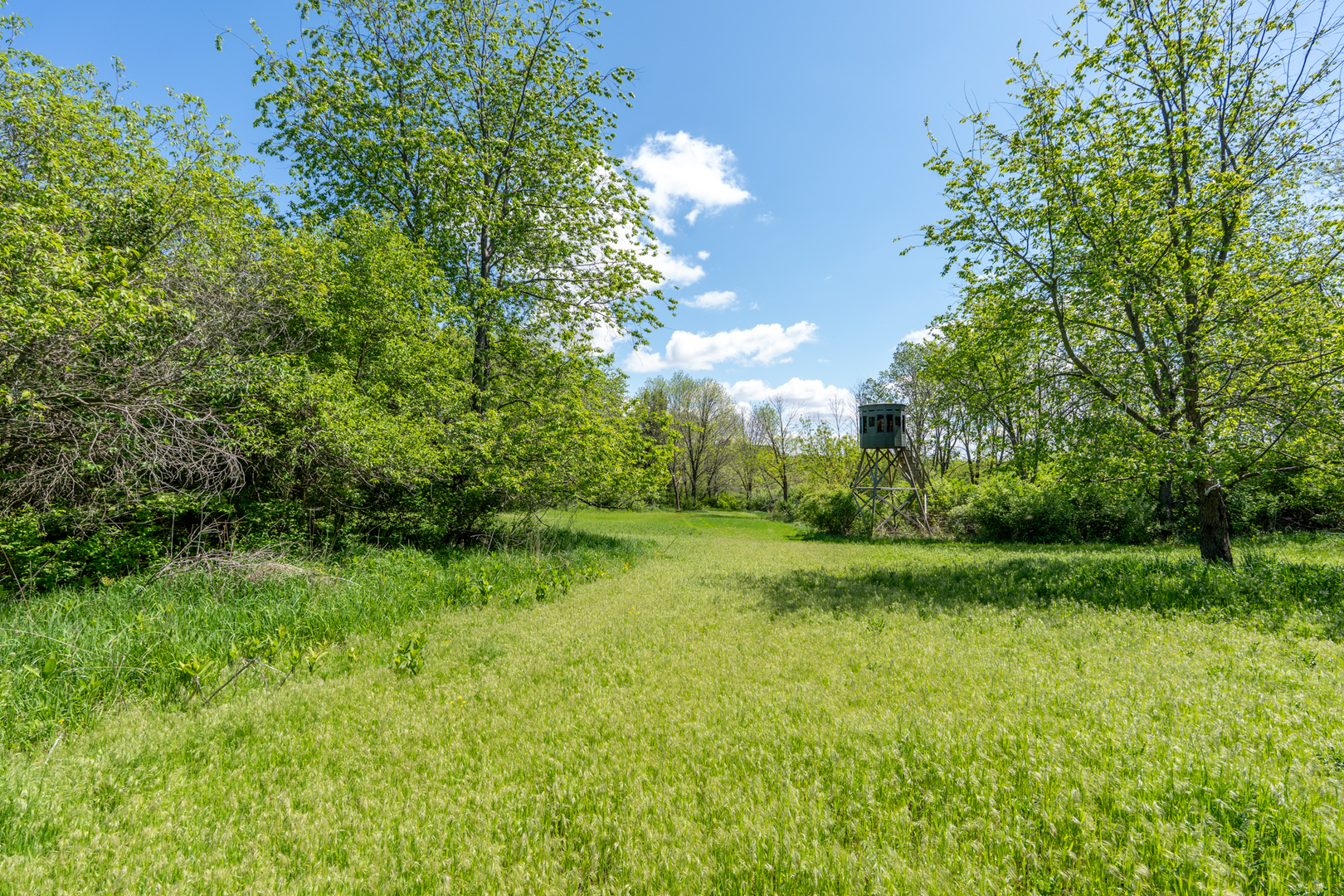 2931 1300 North Avenue Property Photo 19