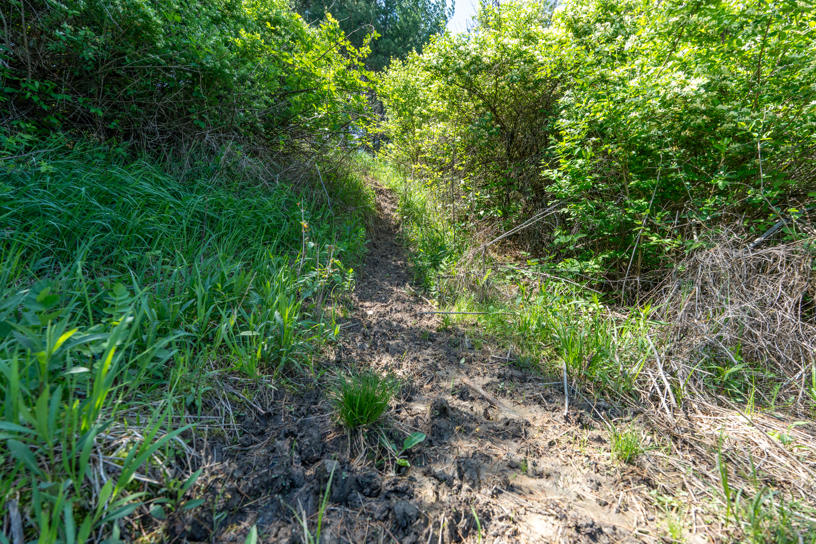 2931 1300 North Avenue Property Photo 22