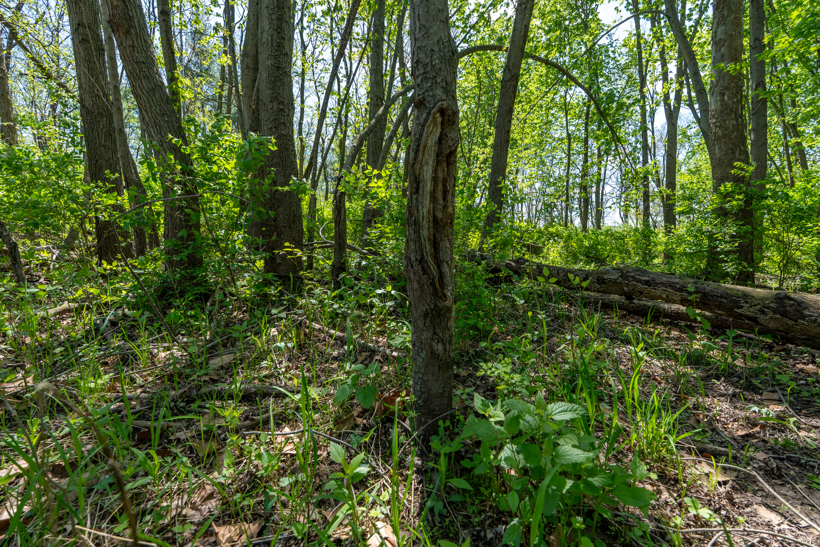 2931 1300 North Avenue Property Photo 23
