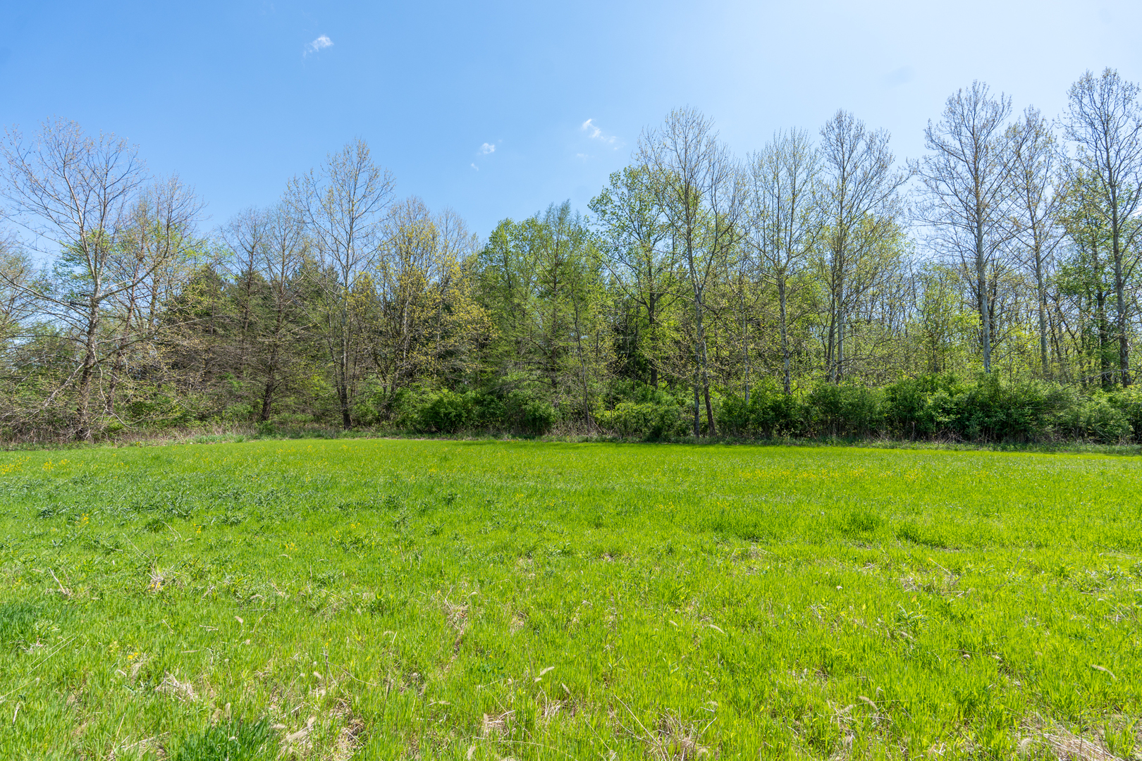 2931 1300 North Avenue Property Photo 24
