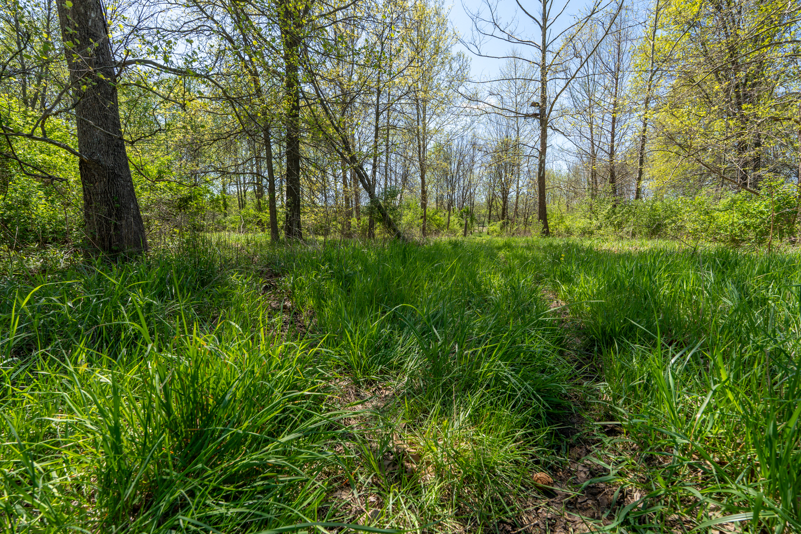 2931 1300 North Avenue Property Photo 25