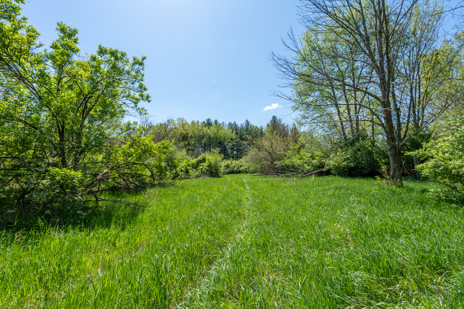 2931 1300 North Avenue Property Photo 26
