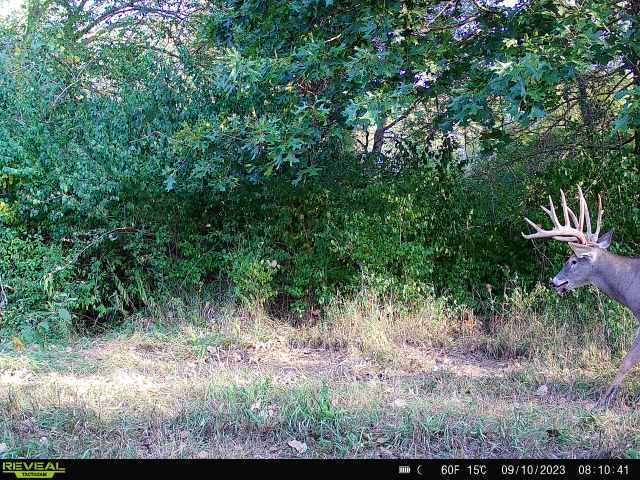 2931 1300 North Avenue Property Photo 38