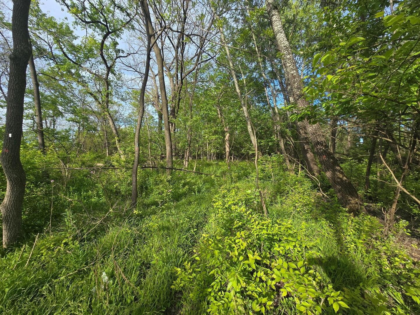 108 Arrowhead Drive Property Photo 7
