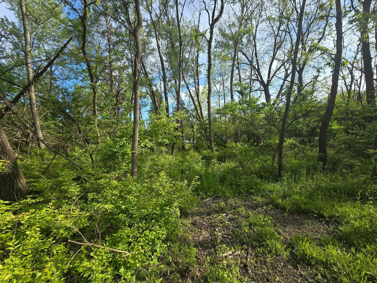 108 Arrowhead Drive Property Photo 8