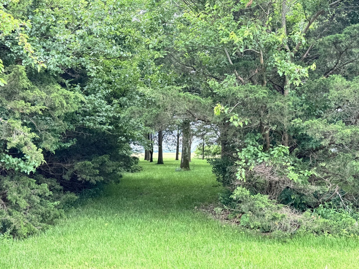 5175 Us Highway 51 Property Photo 17