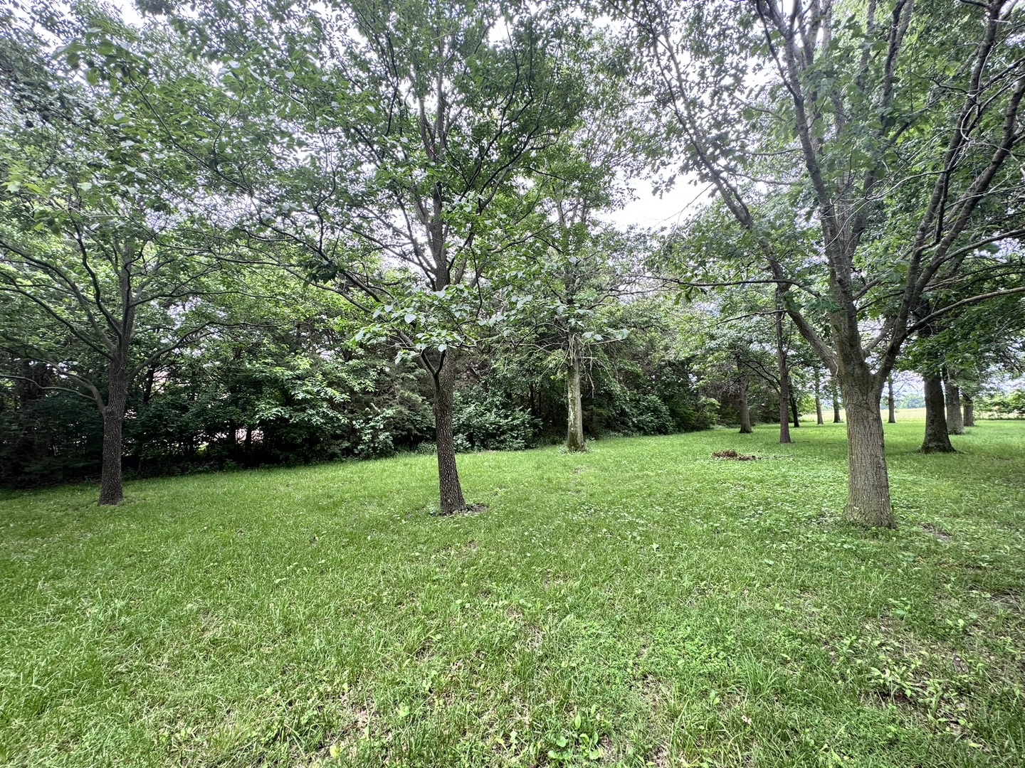 5175 Us Highway 51 Property Photo 18