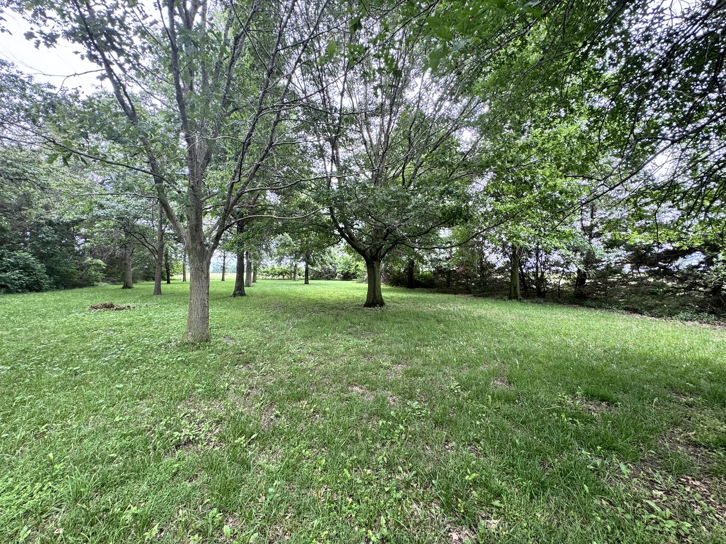5175 Us Highway 51 Property Photo 19