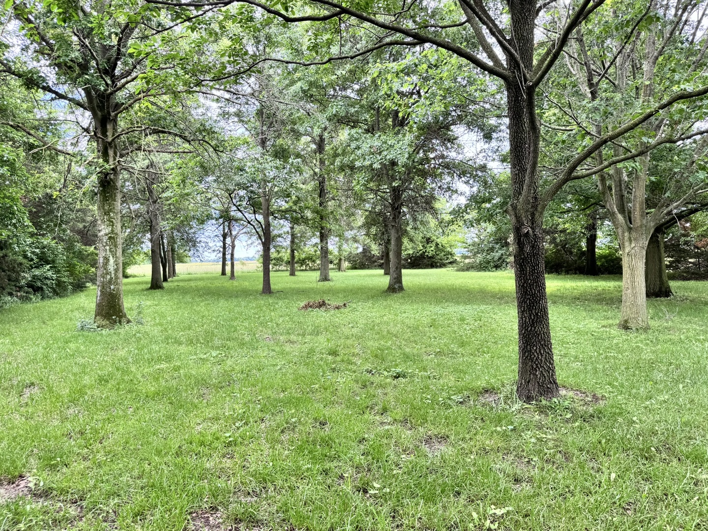5175 Us Highway 51 Property Photo 60