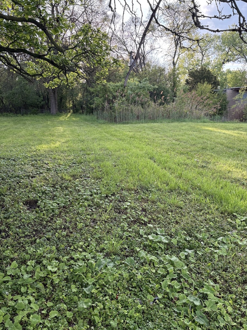 13526 S Kedzie Avenue Property Photo 3