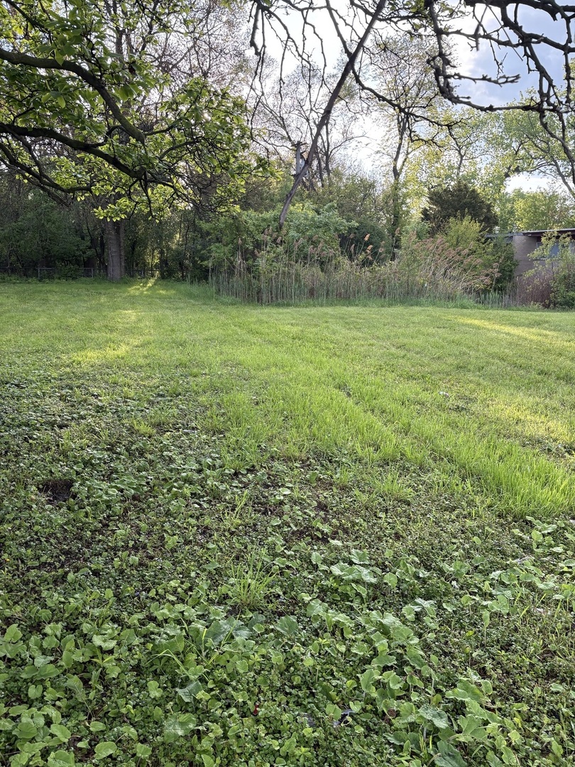 13526 S Kedzie Avenue Property Photo 4