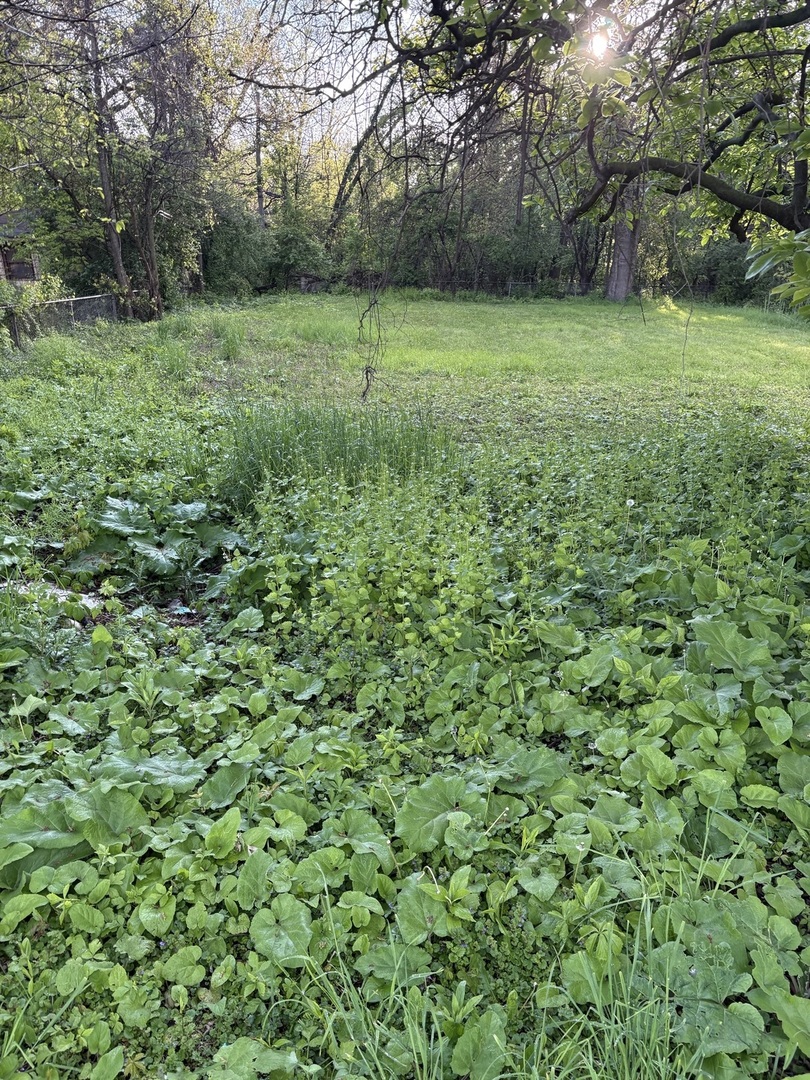 13526 S Kedzie Avenue Property Photo 7
