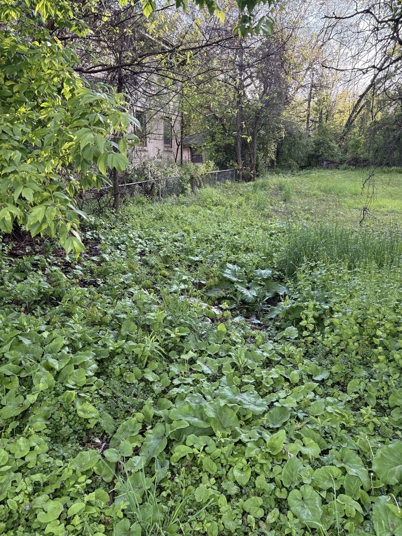 13526 S Kedzie Avenue Property Photo 8