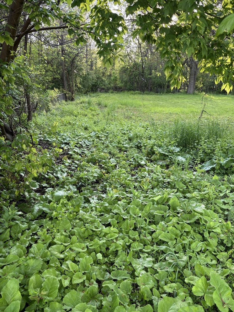 13526 S Kedzie Avenue Property Photo 10