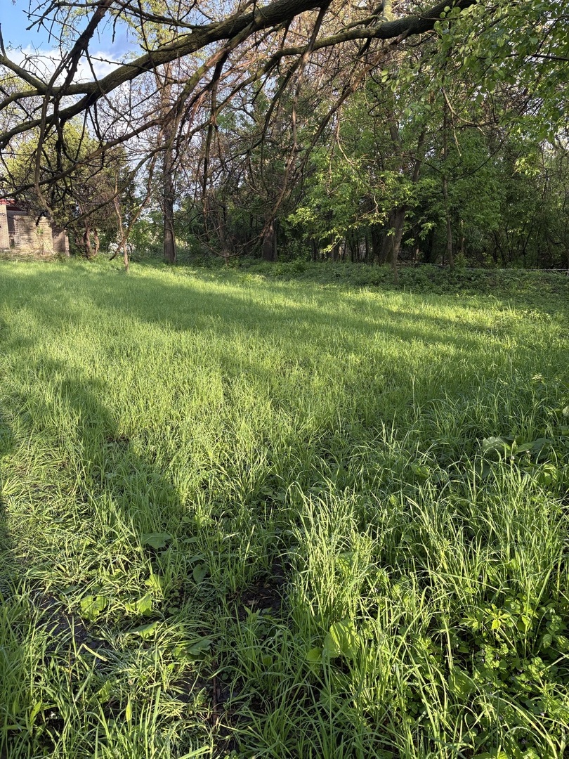 13523 S Sawyer Avenue Property Photo 4