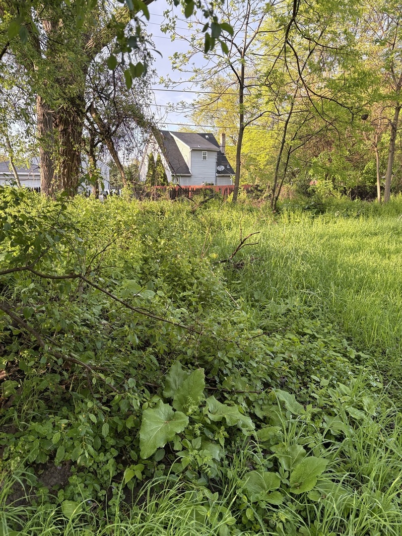 13523 S Sawyer Avenue Property Photo 11