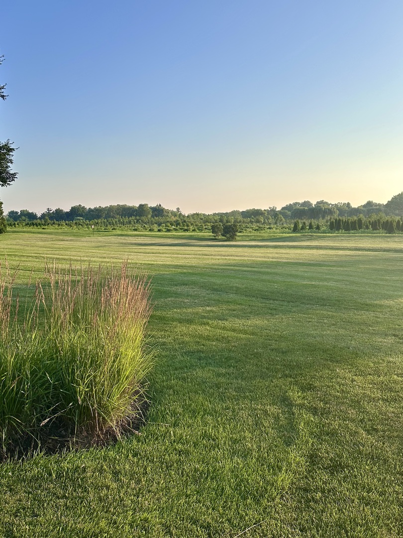 25730 N Eagle Drive Property Photo 45