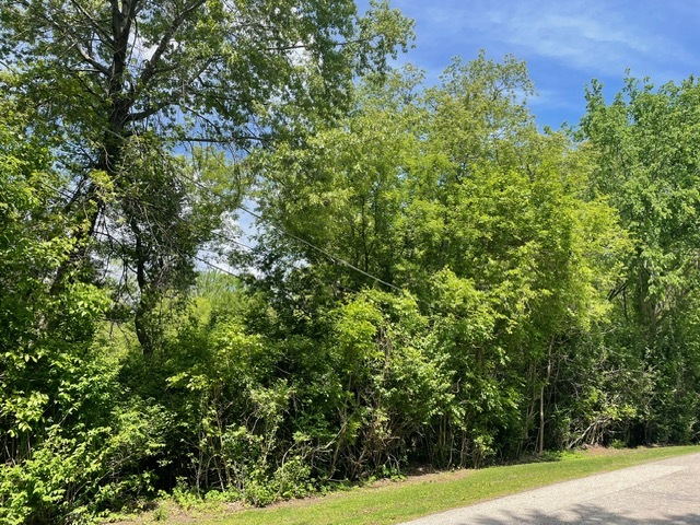 Lot 0 Pine Street Property Photo 2