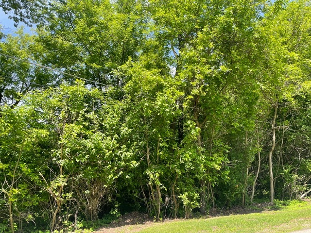 Lot 0 Pine Street Property Photo 3