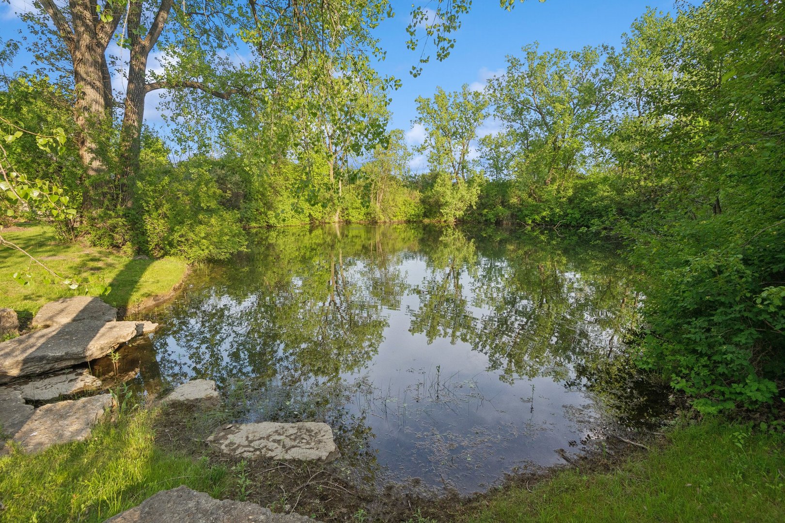 28 Aberdeen Court Property Photo 64